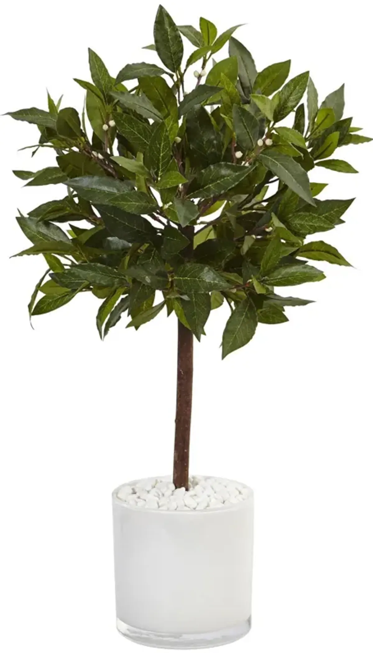 Nearly Natural 2-ft Sweet Bay Tree in White Cylinder