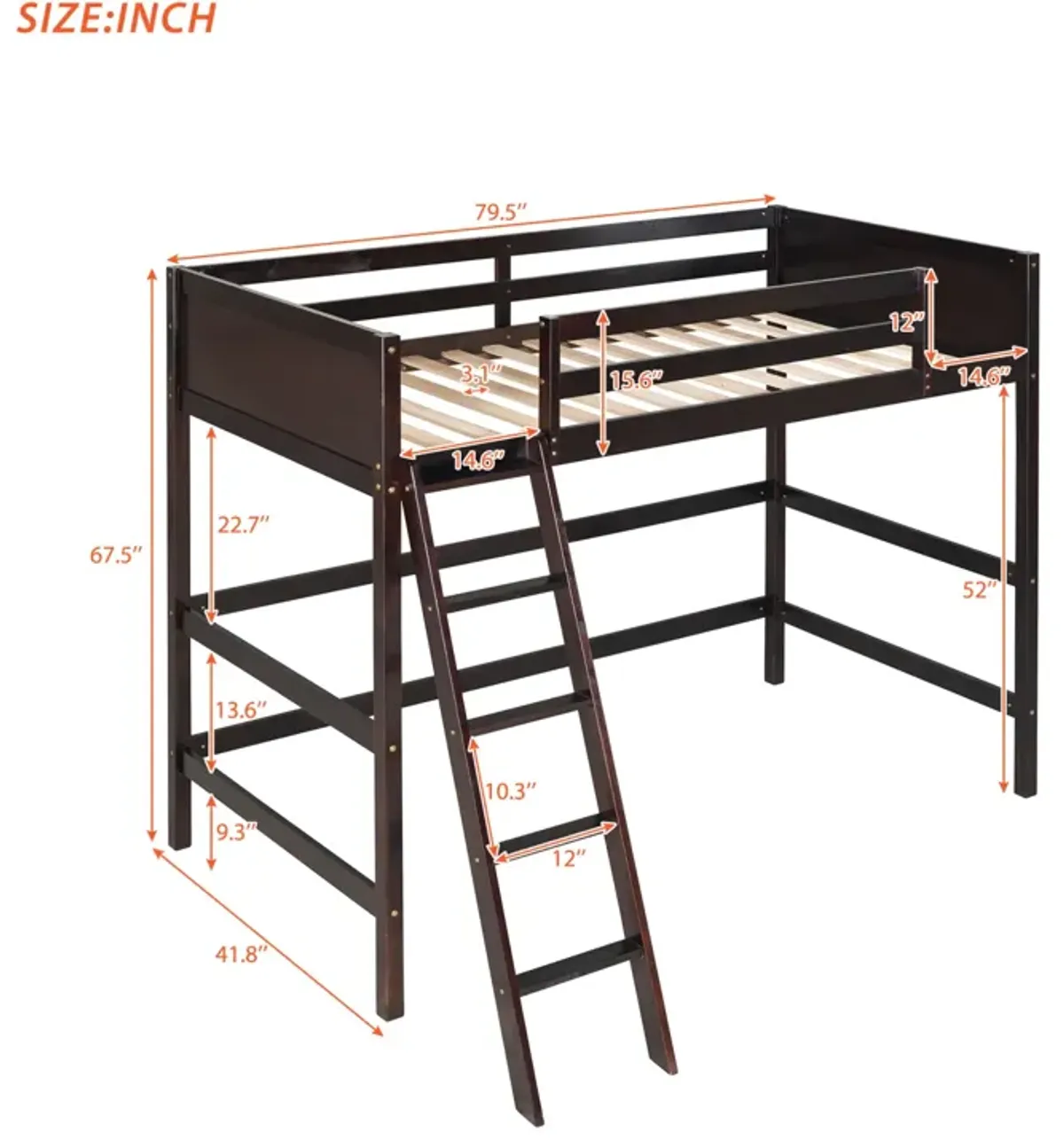 Solid Wood Twin Size Loft Bed with Ladder