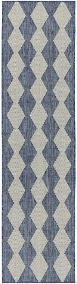 Navy/Blue color
