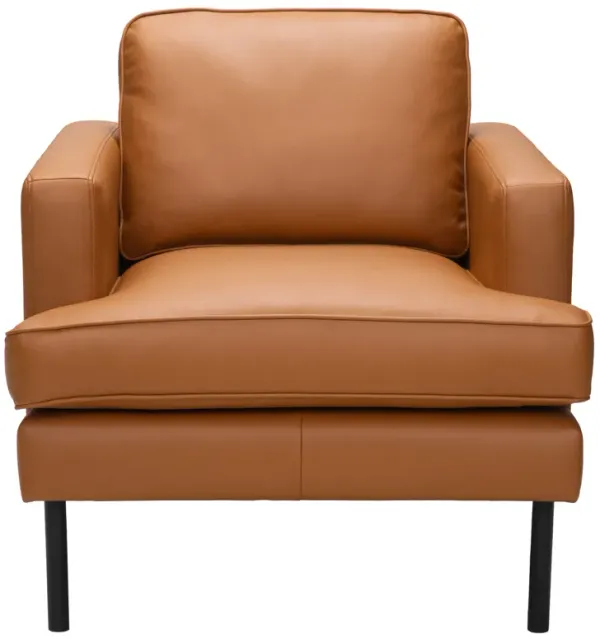 Decade Armchair Brown