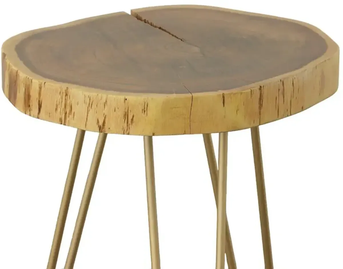 Carolina Living Seti Live Edge Accent Table - Natural Top - Gold Base