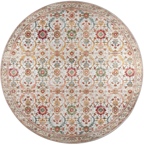 Jericho JC1 Ivory 6' Rug