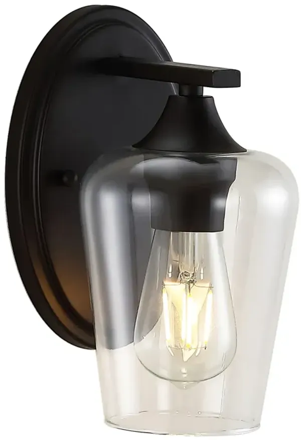 Jayne Iron/Glass Cottage Rustic LED Vanity Light