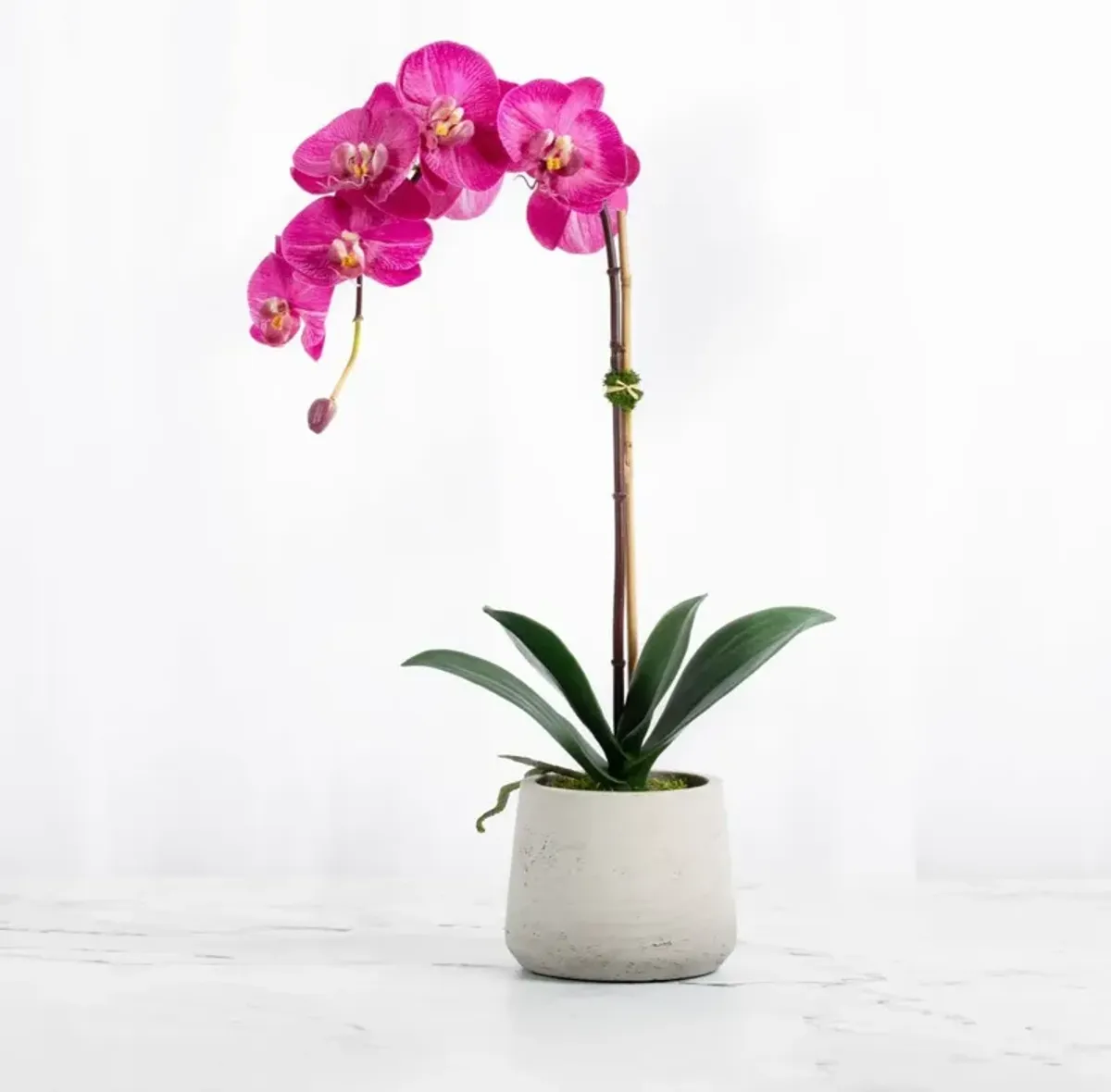 Real Touch Orchid Plant Pink Orchid in Beige Pot