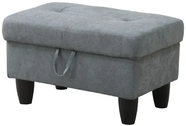28.5 in. W Flannel Polyester Blend Rectangle Ottoman with Storage