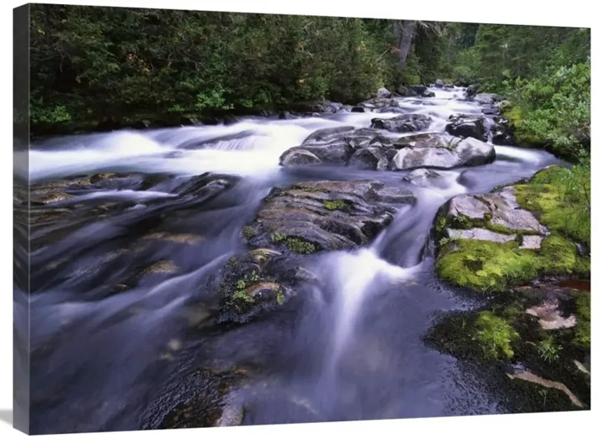Paradise River, Mt Rainier National Park, Washington-Canvas Art-32x24