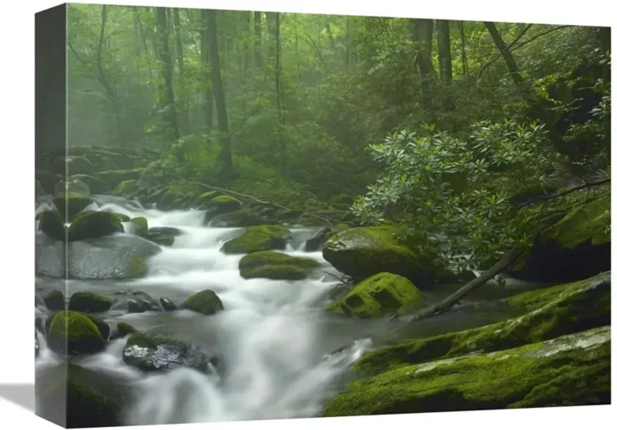 Roaring Fork River flowing through forest in Great Smoky Mountains National Park, Tennessee-Canvas Art-16x12
