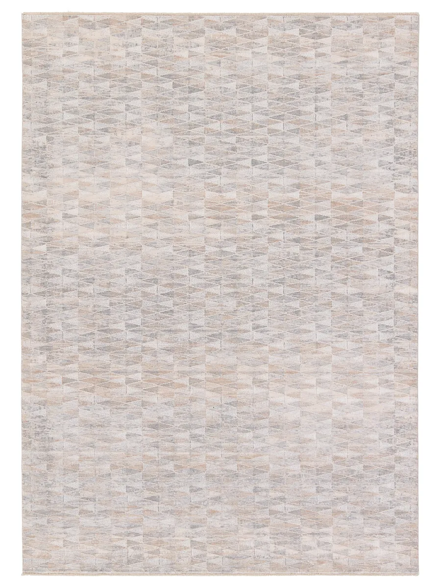 Aries Luray Tan/Taupe 4' x 6' Rug