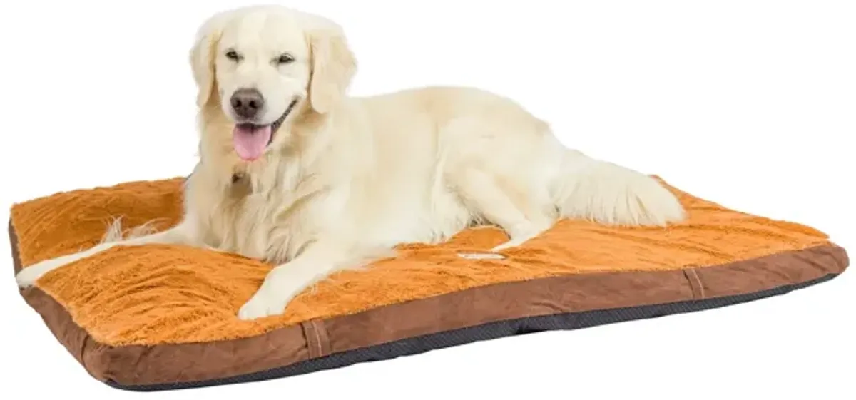 Aeromark Int'l Inc.Armarkat Brown Pet Bed, 47-Inch by 36-Inch by 5-Inch