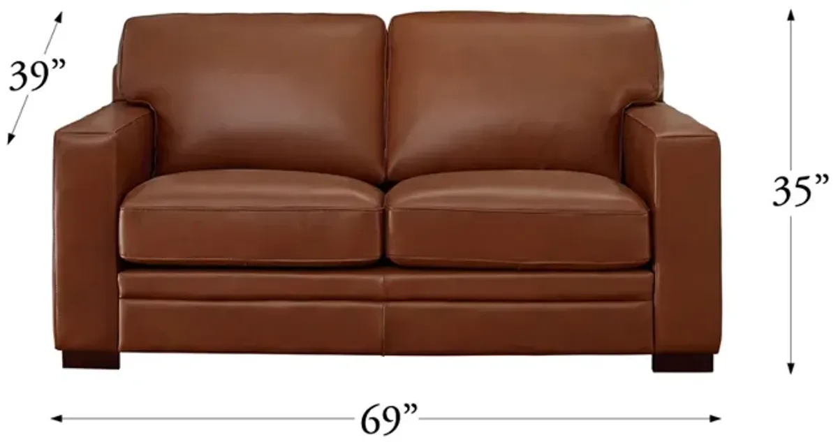 Dillon Top Grain Leather Loveseat