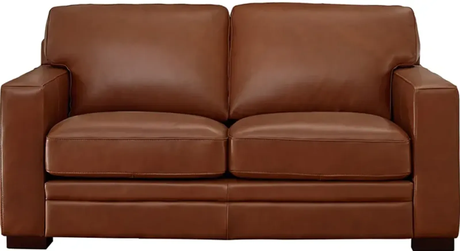 Dillon Top Grain Leather Loveseat