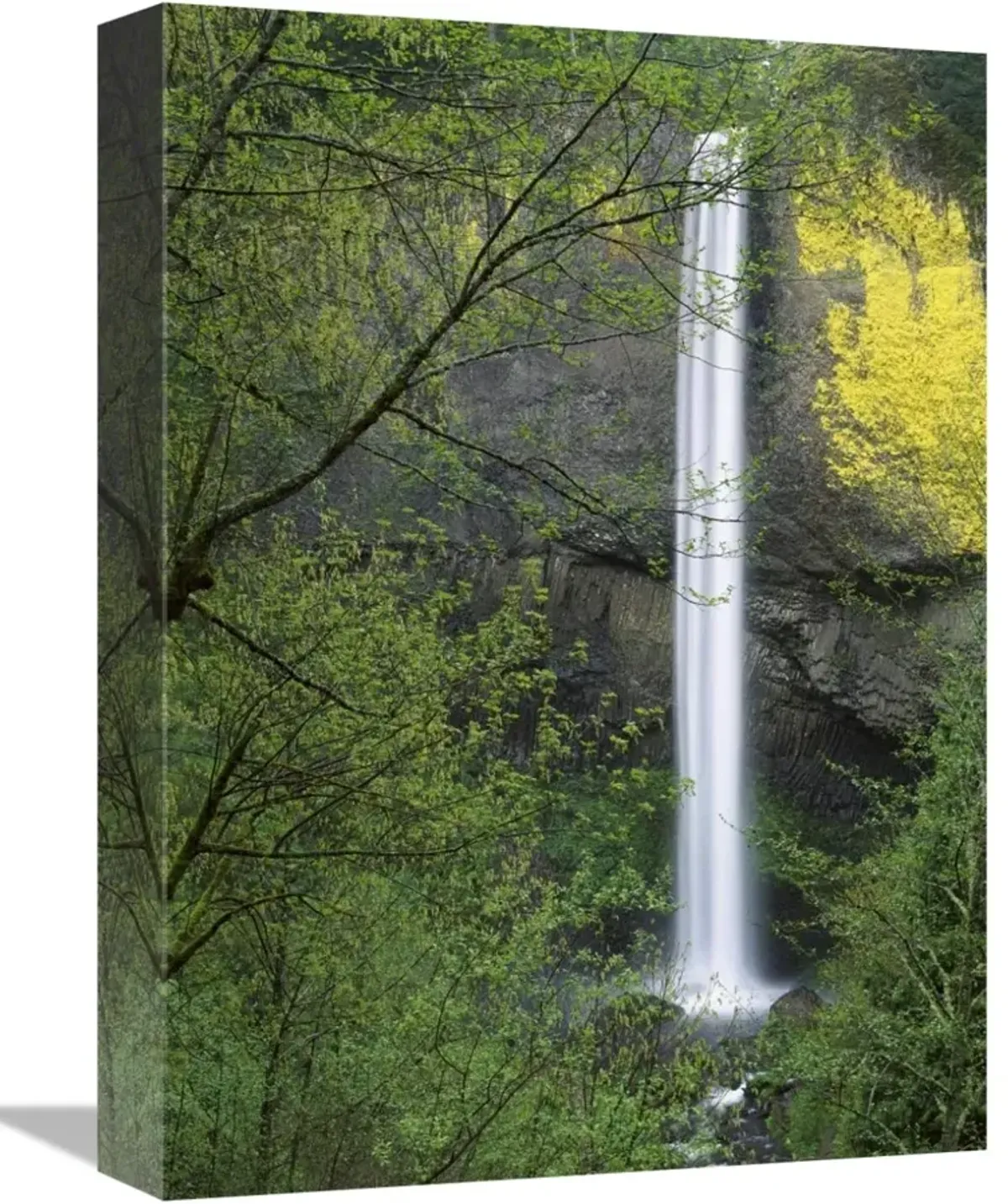 Latourell Falls, Columbia River Gorge near Portland, Oregon-Canvas Art-12x16