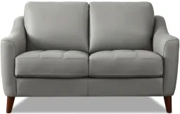 Silver Gray color