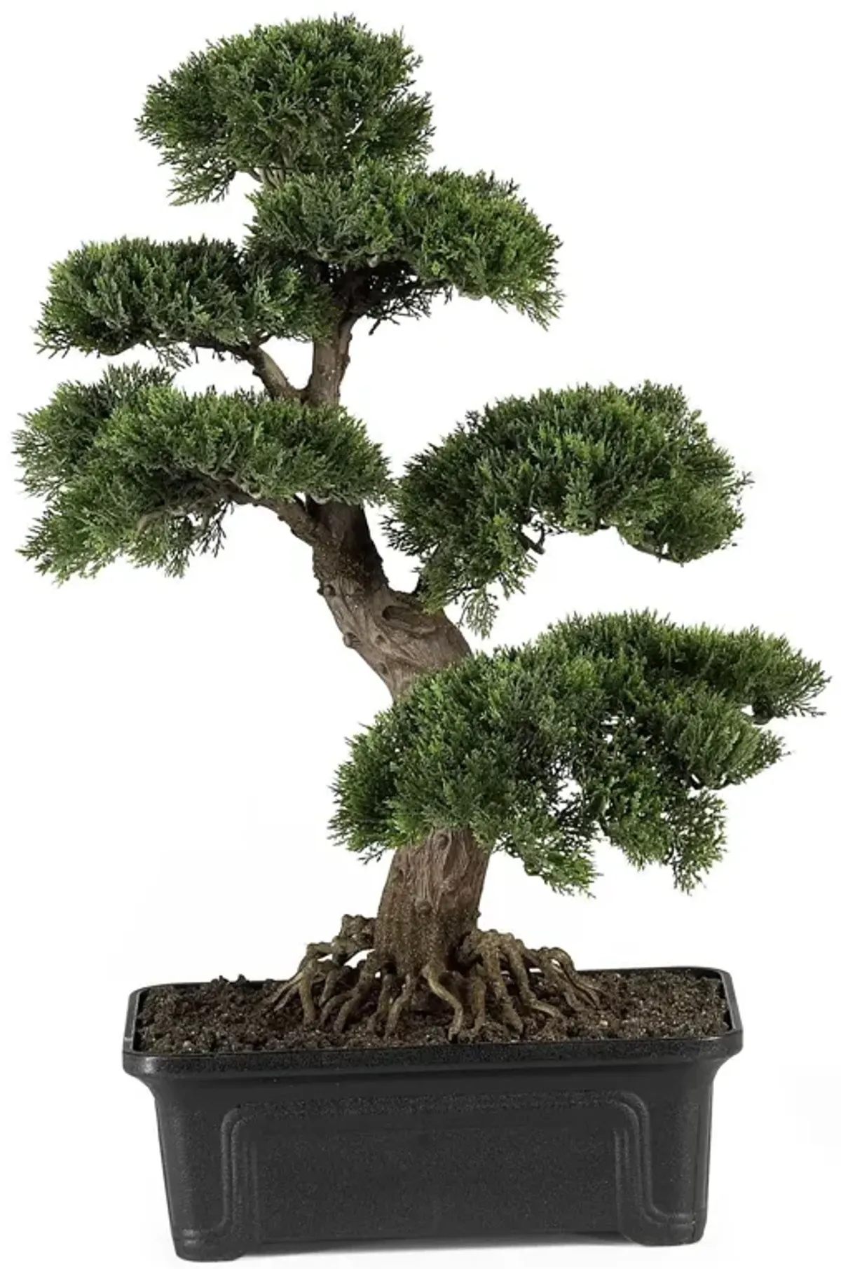 Nearly Natural 2-ft Cedar Bonsai Tree