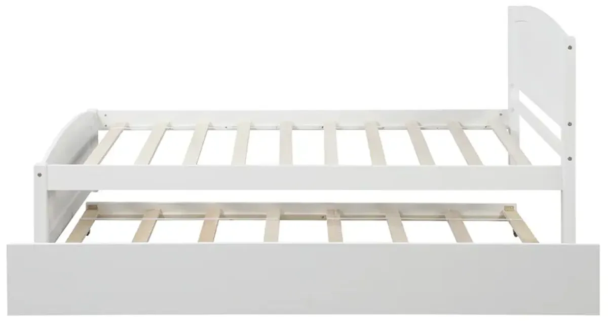 Minimalistic Wood Platform Bed with Trundle