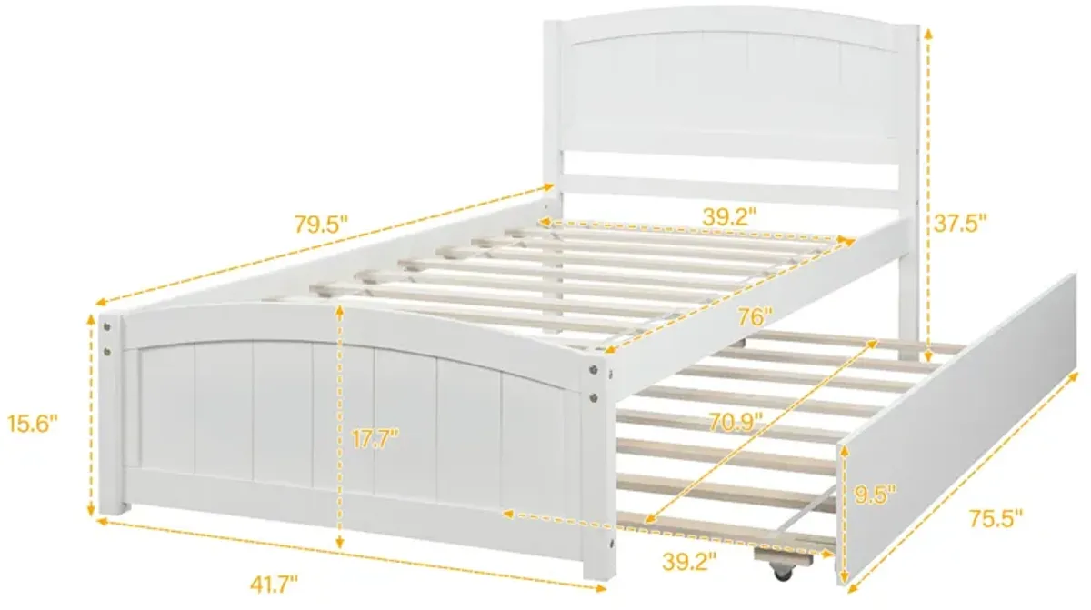 Minimalistic Wood Platform Bed with Trundle