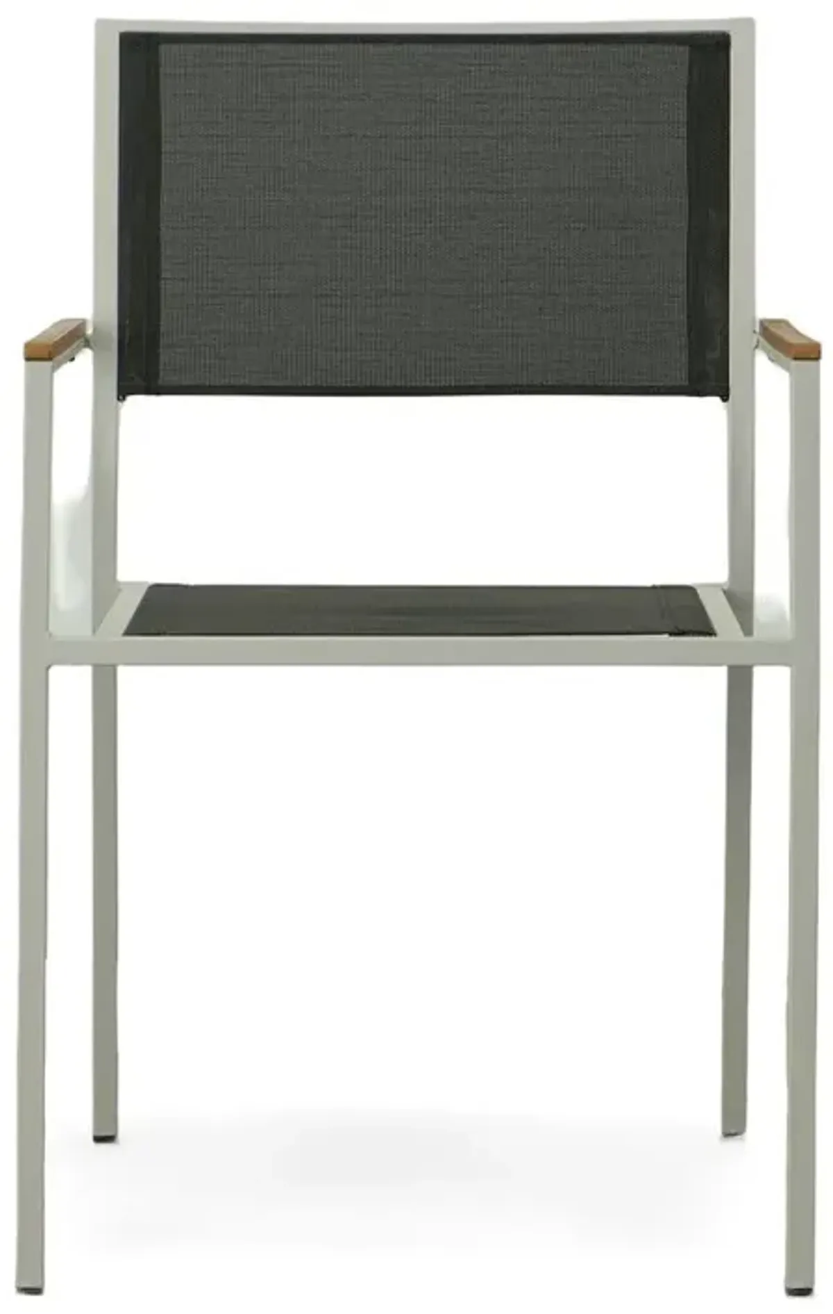Carolina Living Braylee Patio Chair - Set of 2 - Black