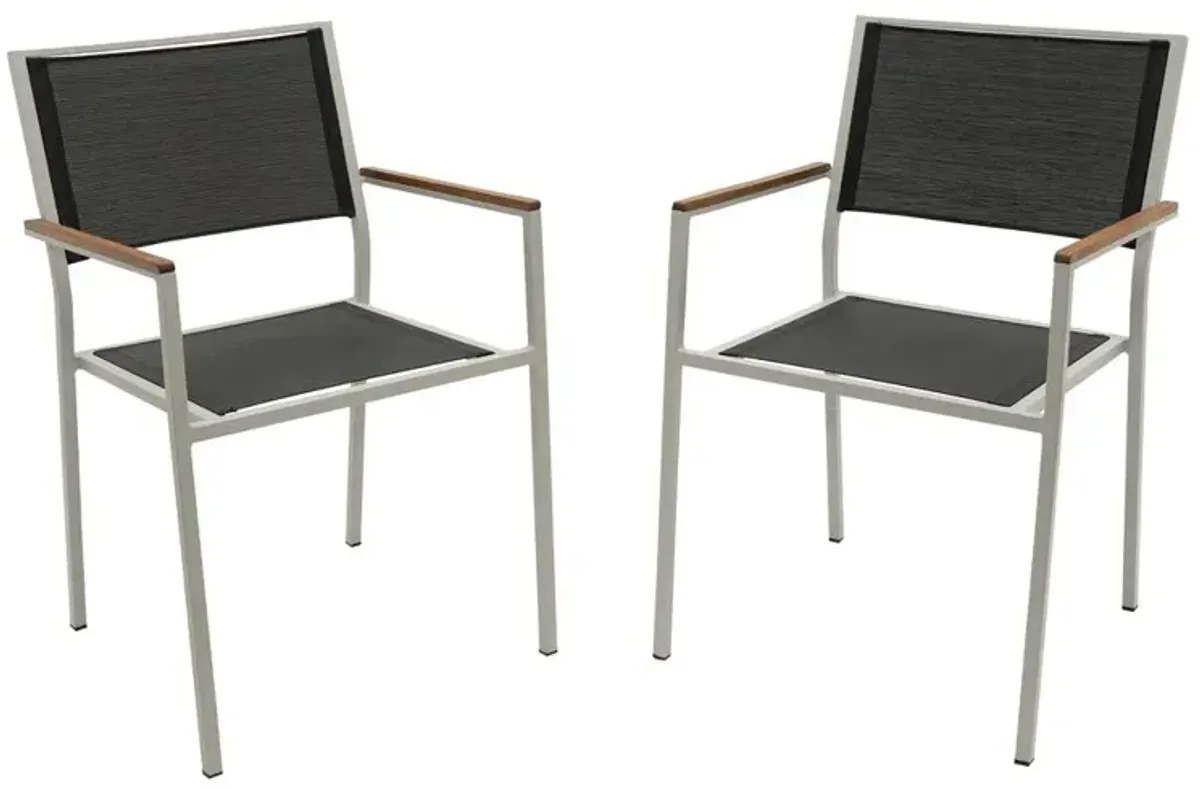 Carolina Living Braylee Patio Chair - Set of 2 - Black