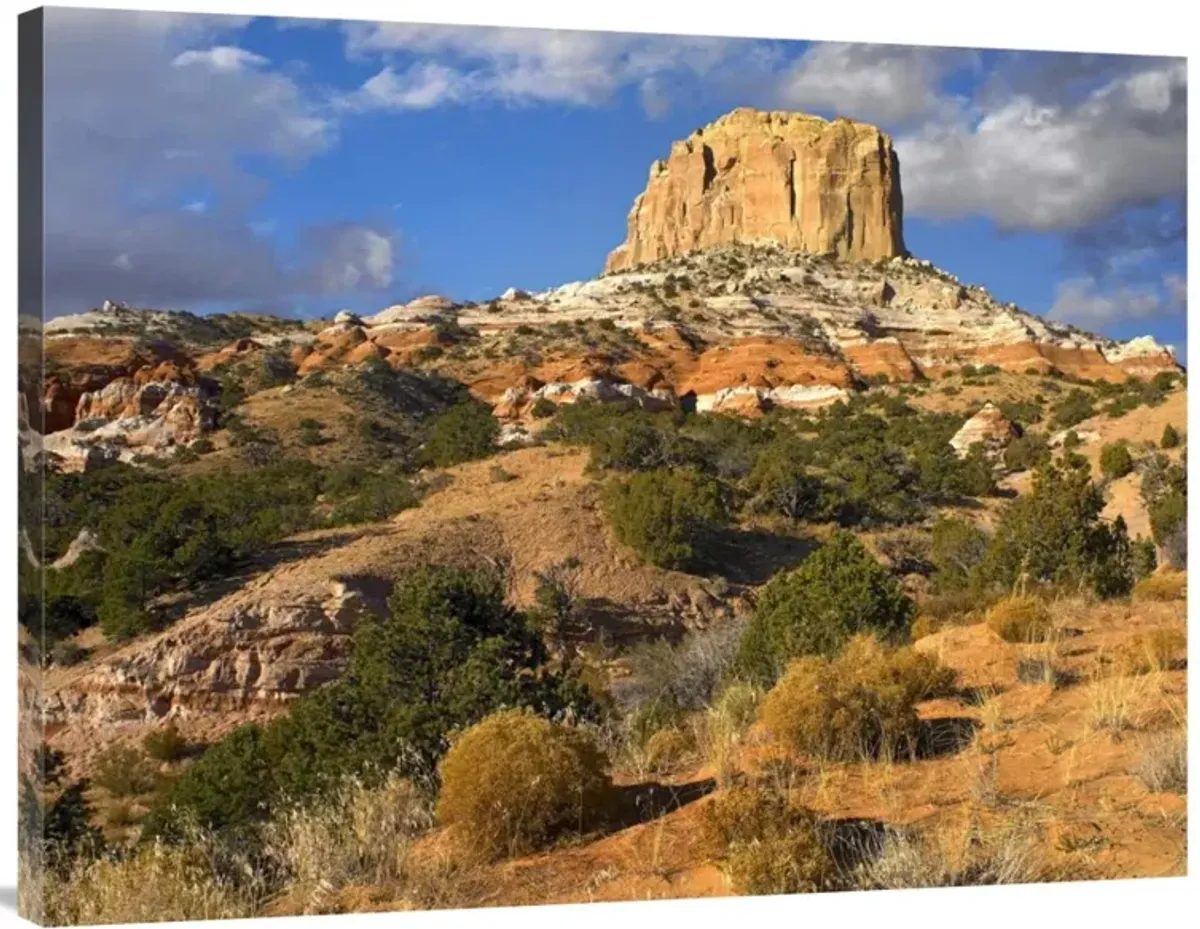 Square Butte near Kaibito, Arizona-Canvas Art-40x30