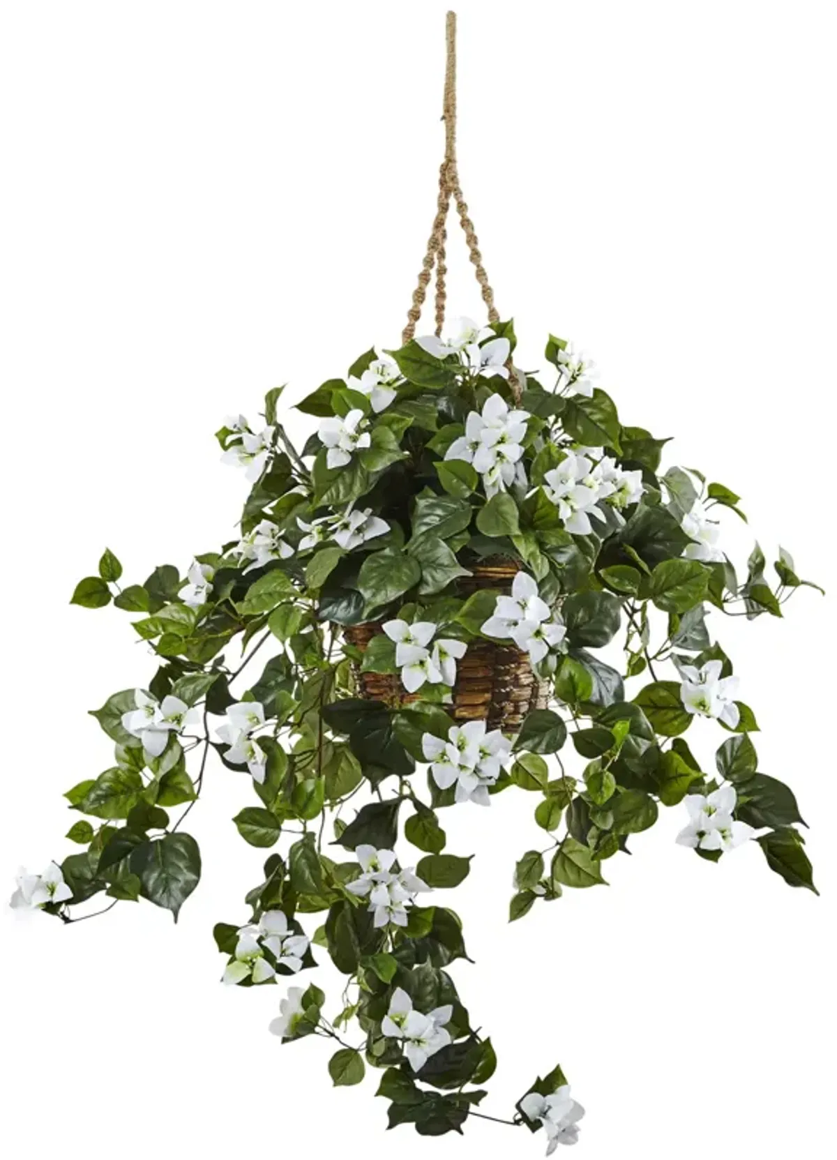 Hivvago Bougainvillea Hanging Basket