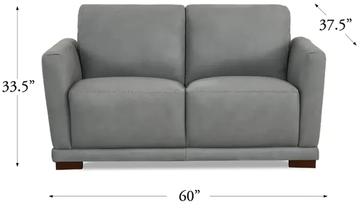 Mary Top Grain Leather Loveseat