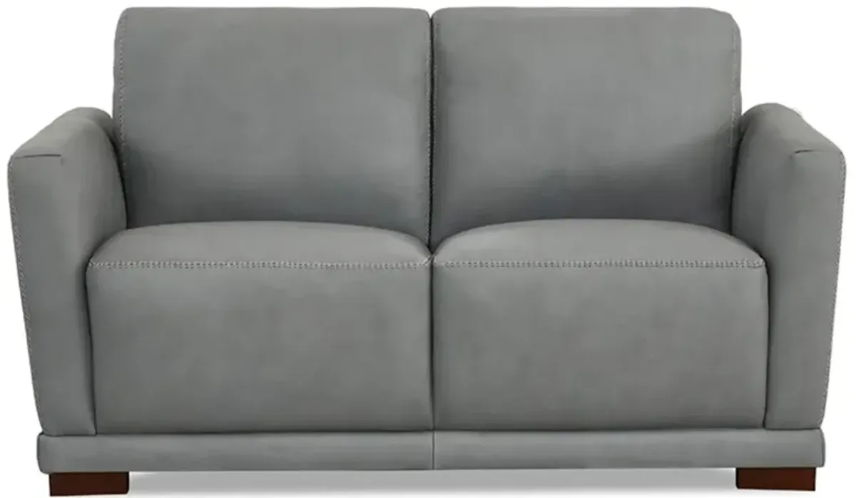 Mary Top Grain Leather Loveseat