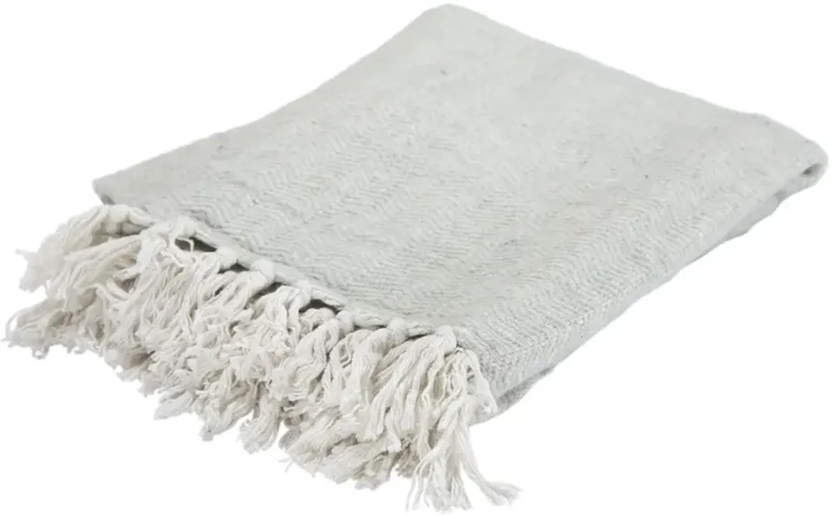 Light Gray/Ivory 50" x 60" Throw Blanket