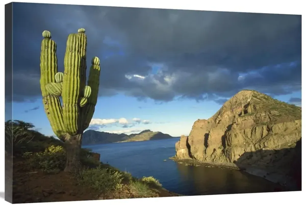 Danzante Island, Sea of Cortez, Baja California, Mexico-Canvas Art-36x24