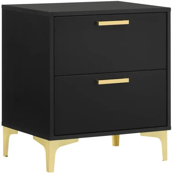 Lif 25 Inch Modern 2 Drawer Nightstand, Gold Metal Accents, Jet Black  - Benzara