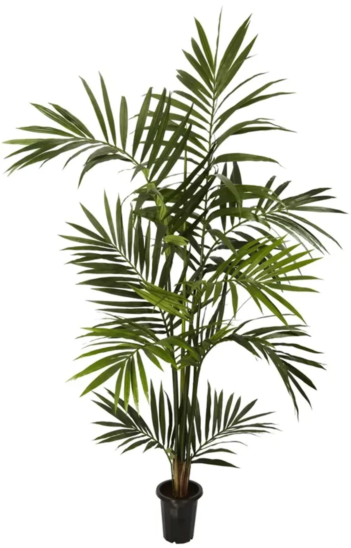 Nearly Natural 6-ft Kentia Palm Tree x 10/Fronds