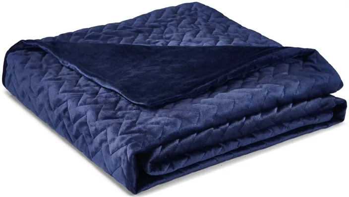 Cozy Tyme Lehana Weighted Blanket 15 Pound 48"x72"