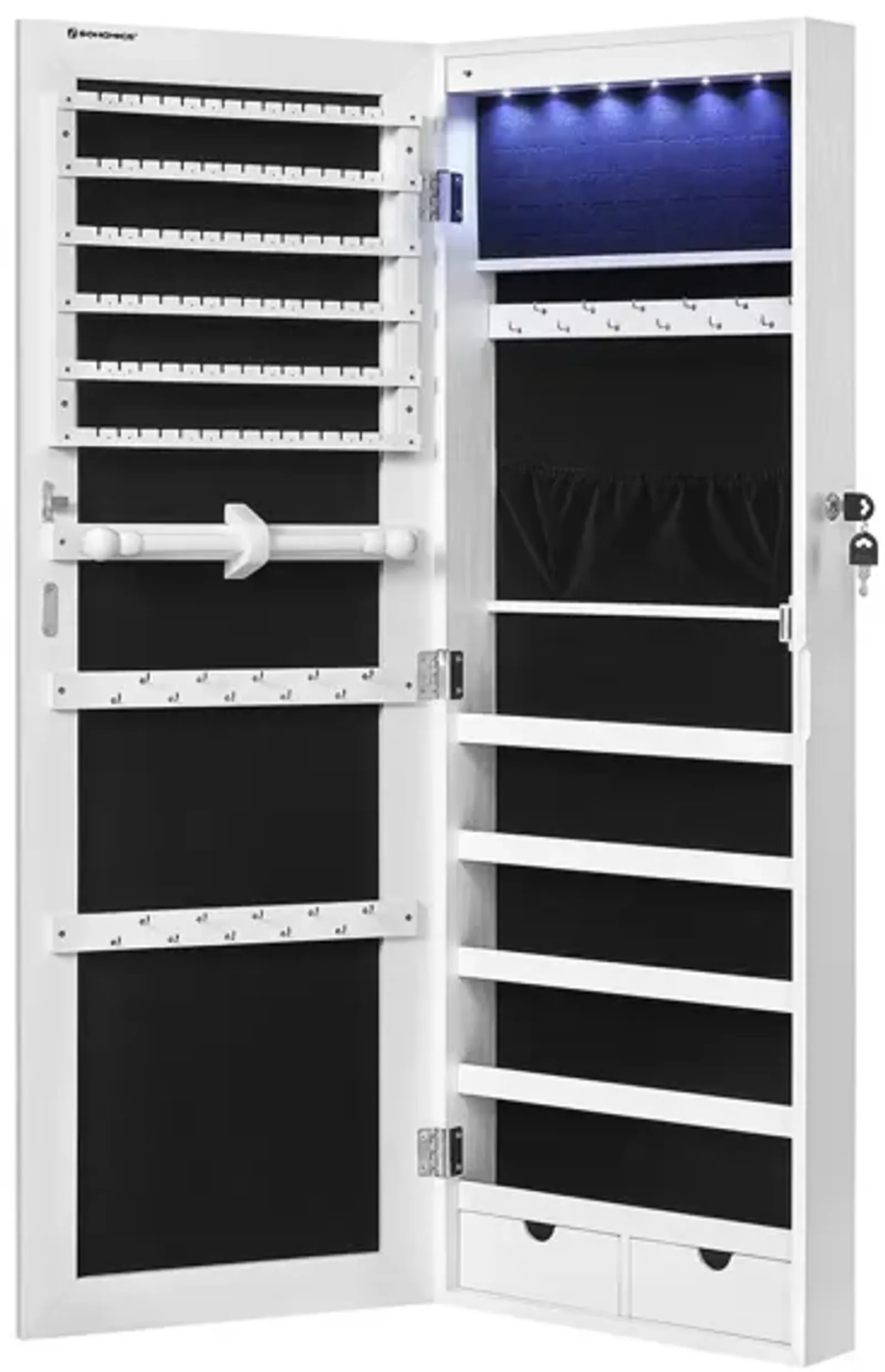 6 LEDs Jewelry Organizer Cabinet Armoire with Full Screen Mirror, Wall Hanging/Door Mounted, Large Capacity