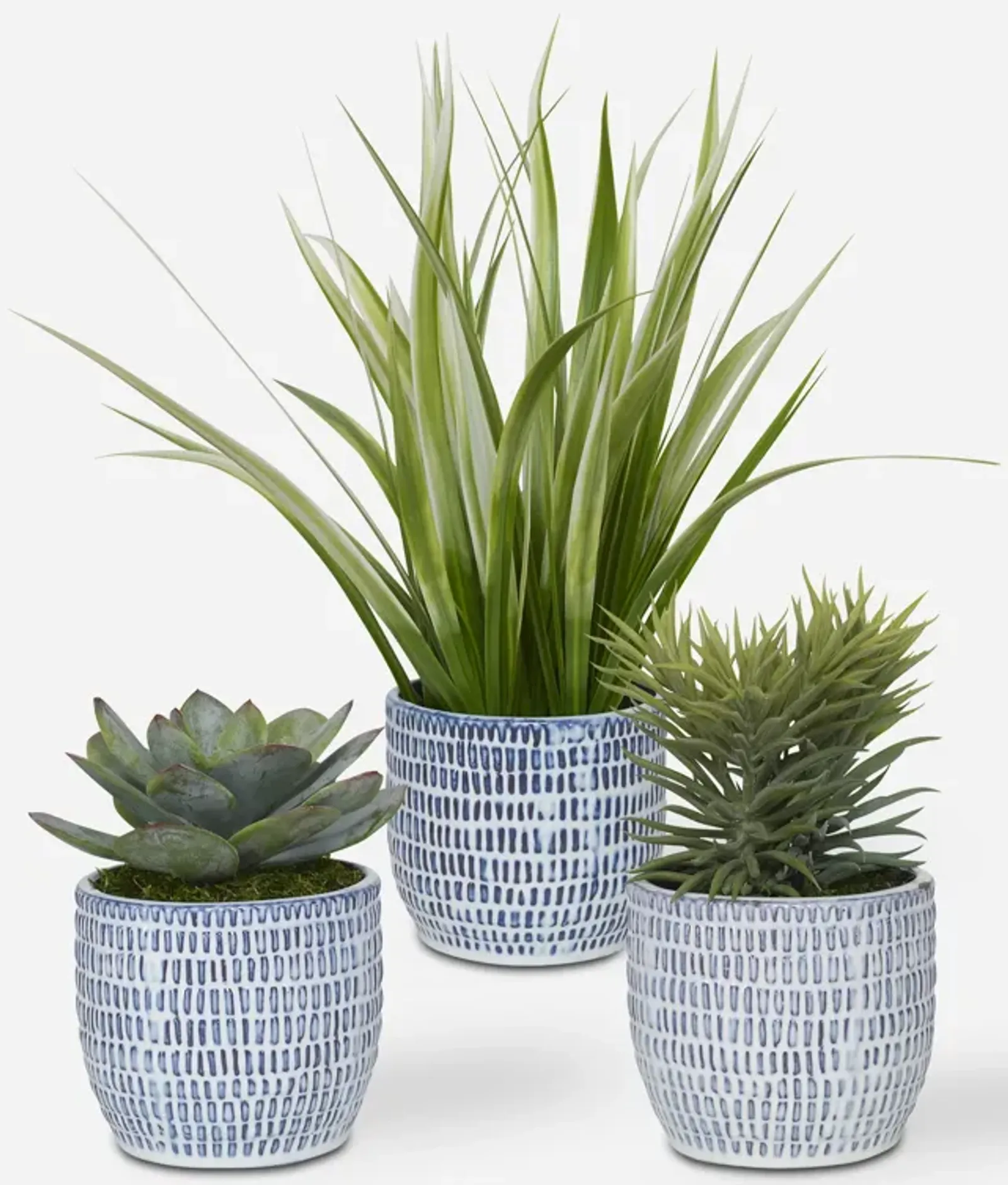 Puebla Greenery (Set of 3)