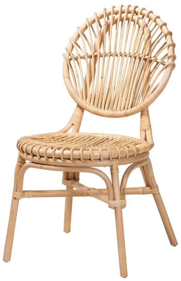 Baxton Studio Iris Modern Bohemian Natural Brown Rattan Dining Chair