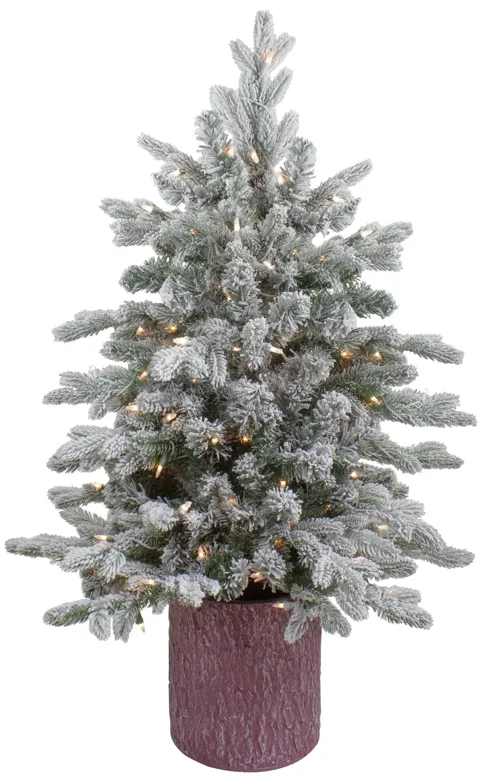 4' Pre-Lit Flocked Saratoga Spruce Artificial Christmas Tree in Pot - Clear Lights