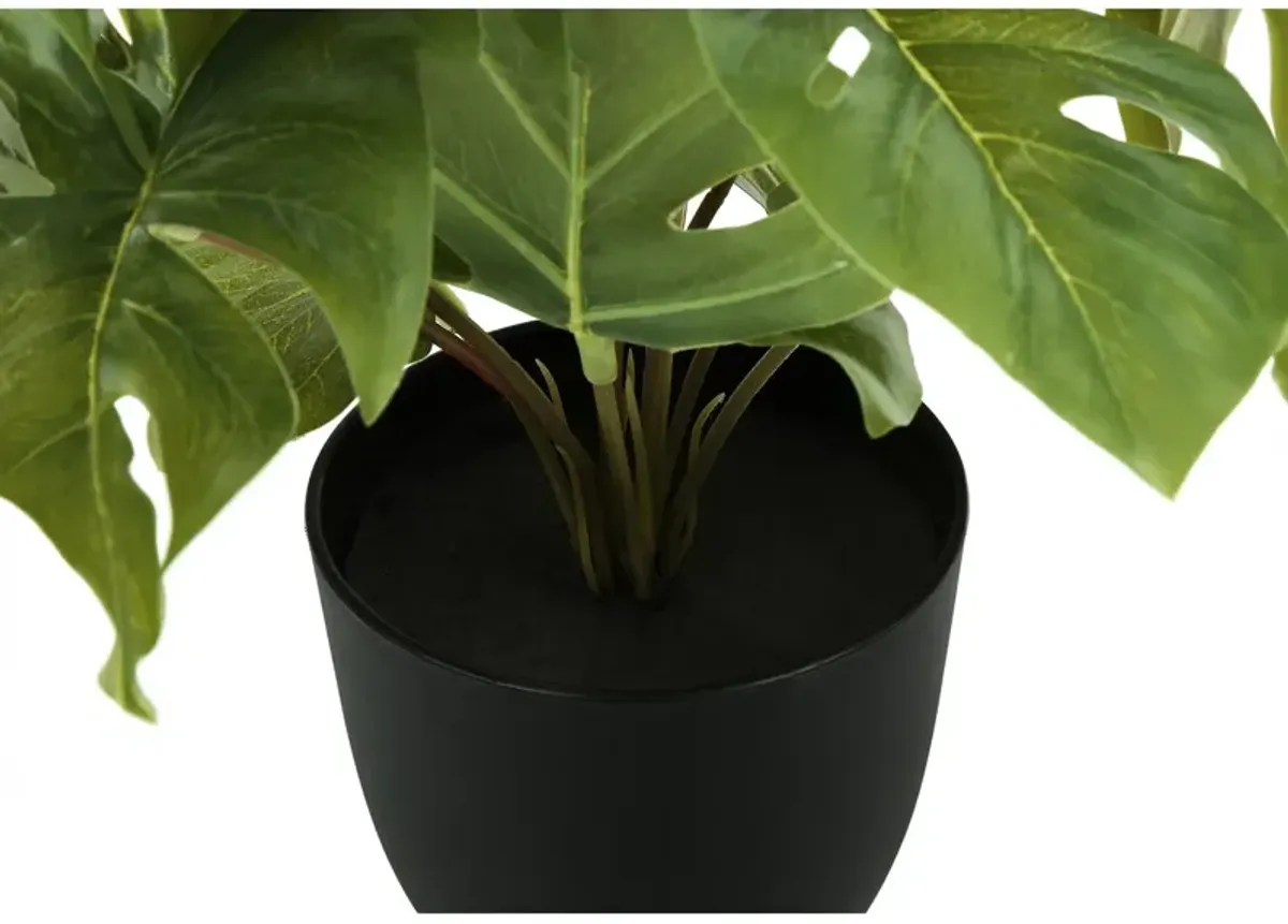 Monarch Specialties I 9584 - Artificial Plant, 13" Tall, Monstera Calthea, Indoor, Faux, Fake, Table, Greenery, Potted, Set Of 2, Decorative, Green Leaves, Black Pots