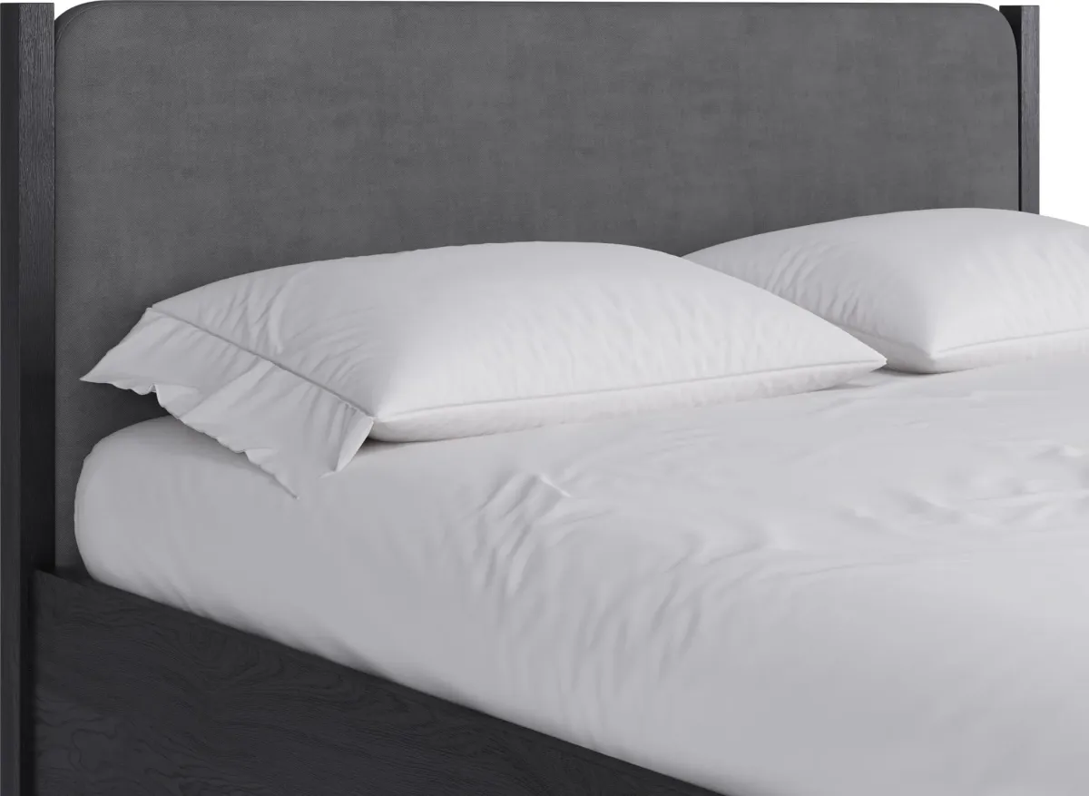 Elora California King-size Wood and Velvet Upholstered Bed in Jet and Charcoal