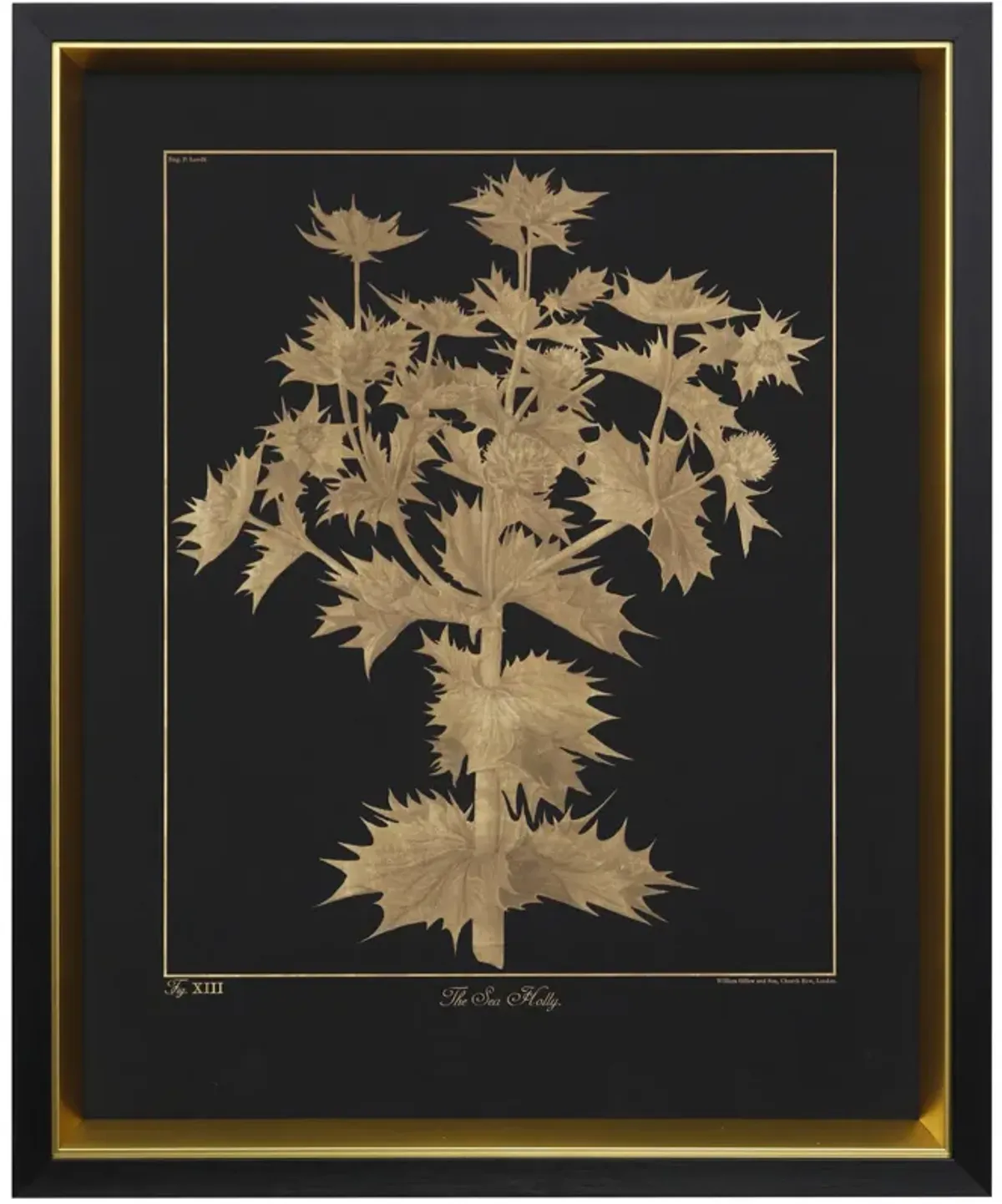 Sea Holly Framed Print