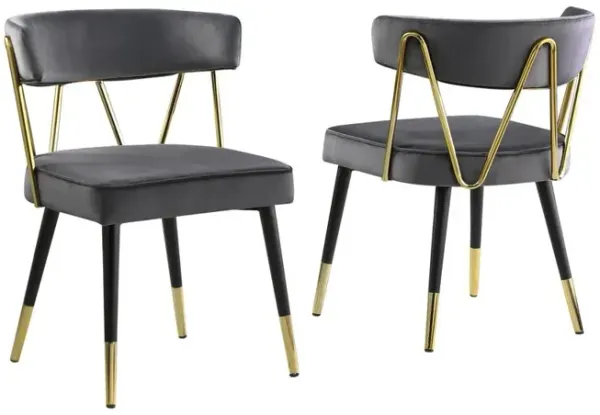 Aireys Gray Velvet Armless Chair with Gold Accents (Set of 2)