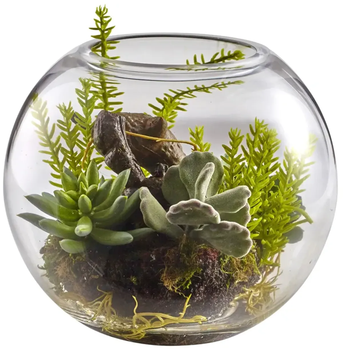 HomPlanti Mix Succulent Garden with Glass Vase