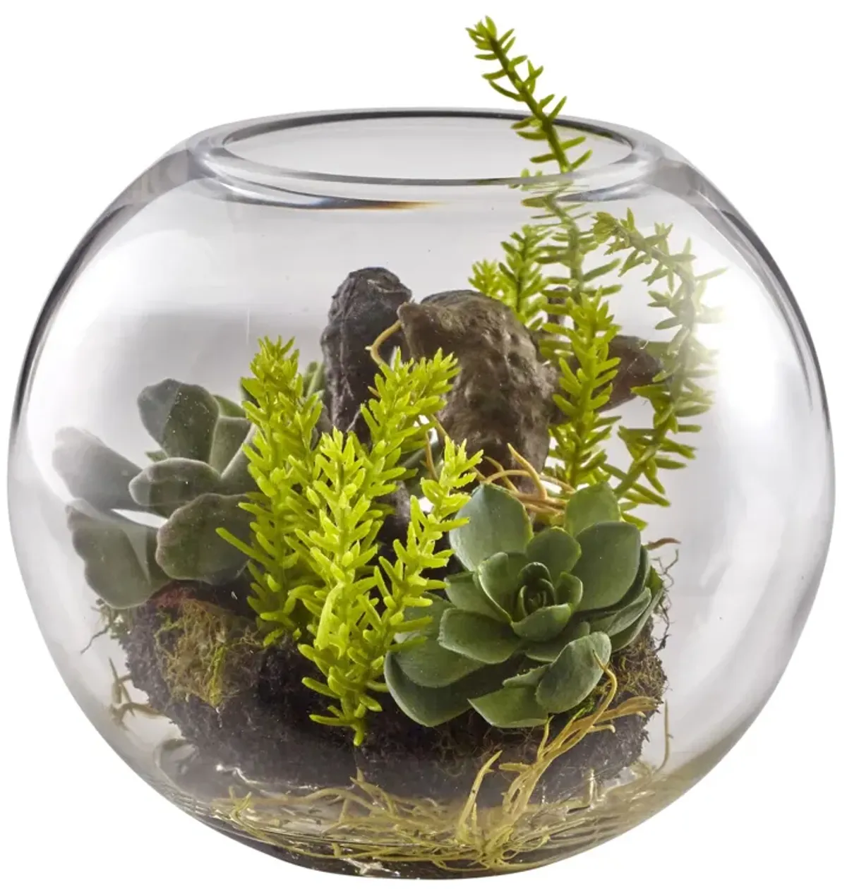 HomPlanti Mix Succulent Garden with Glass Vase