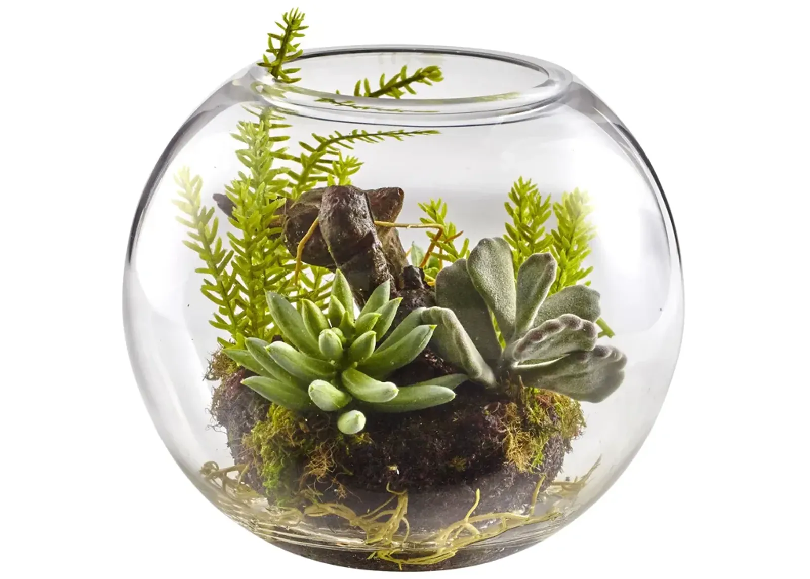 HomPlanti Mix Succulent Garden with Glass Vase