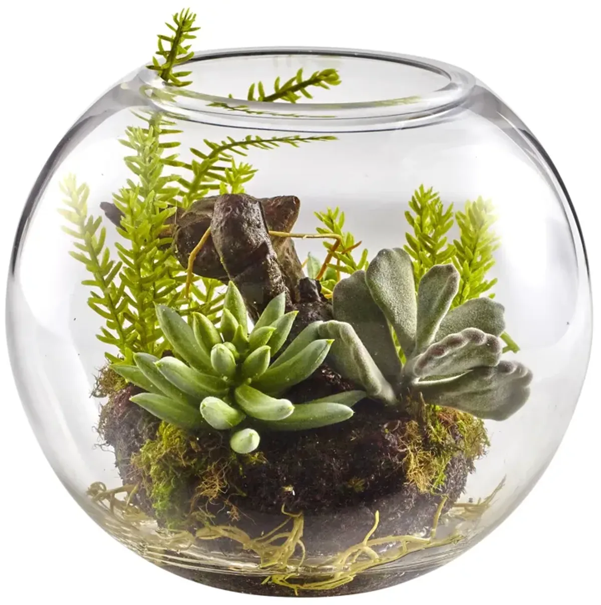 HomPlanti Mix Succulent Garden with Glass Vase