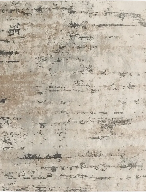 Quarry QUA01 Beige/Gray 10' x Square Rug