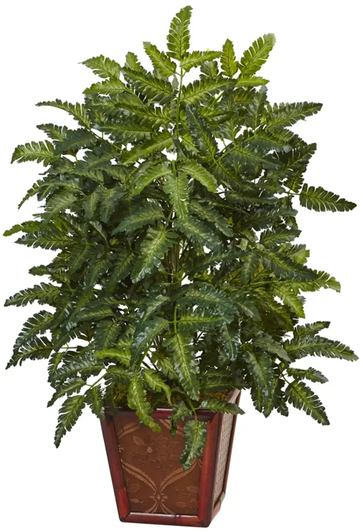 Hivvago Bracken Fern in Wooden Planter