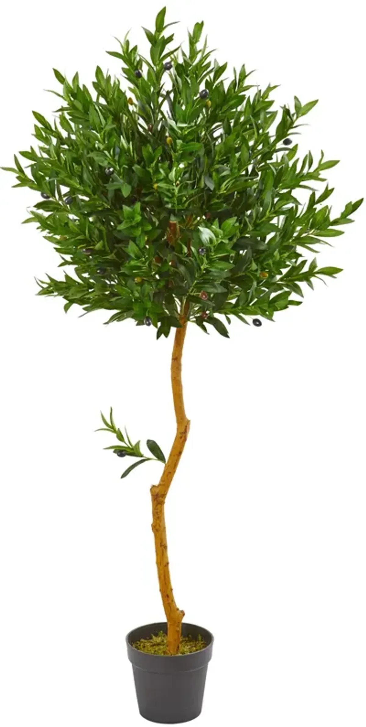 Hivvago 58 Inches Olive Topiary Artificial Tree UV Resistant (Indoor/Outdoor)