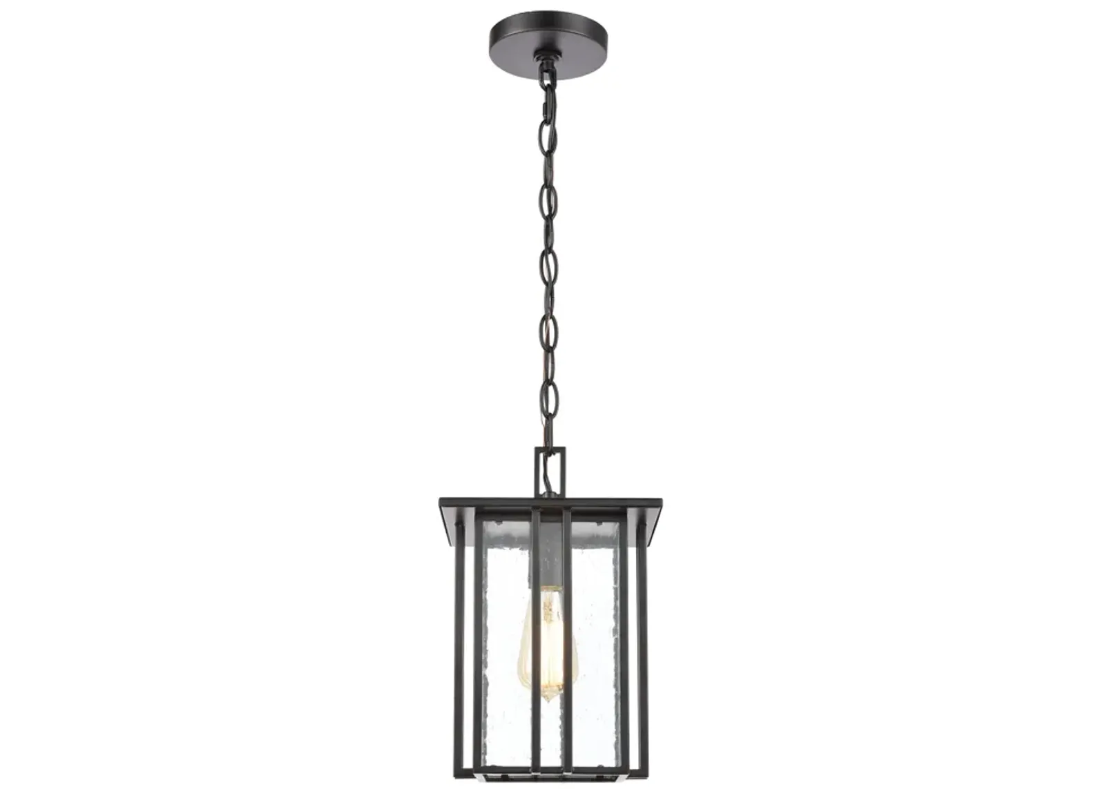 Radnor 8'' Wide 1-Light Outdoor Pendant