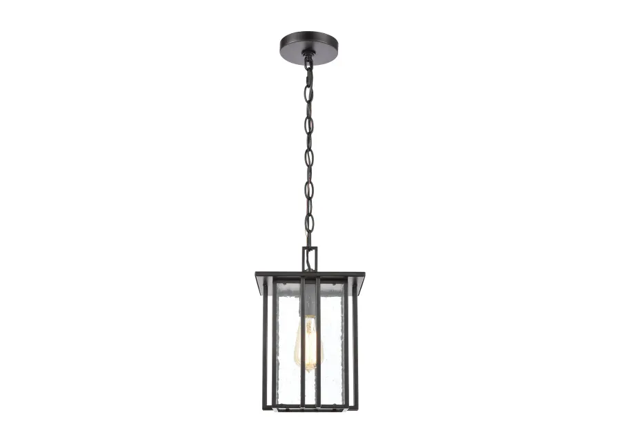 Radnor 8'' Wide 1-Light Outdoor Pendant