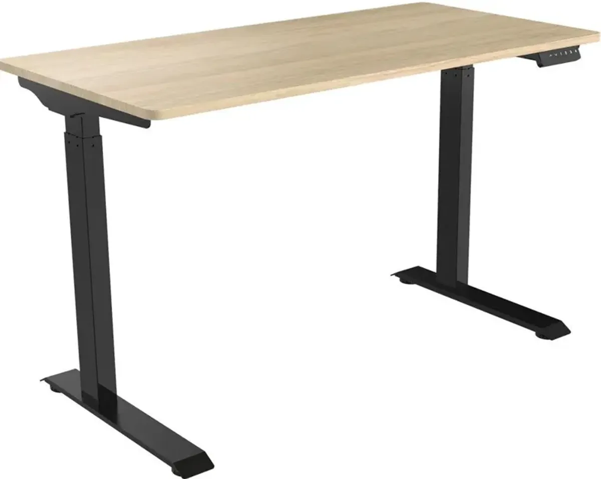 47"x24" Easy Assembly Sit/Stand Electric Desk w/ Memory/Anti-Collision