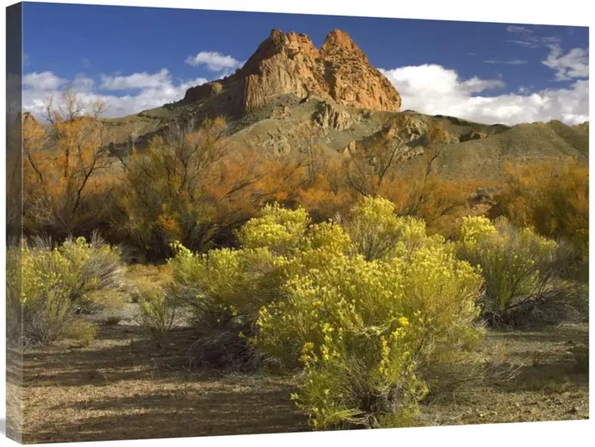 Mitten Rock, New Mexico-Canvas Art-32x24